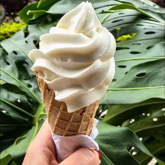 Cono de Helado Suave